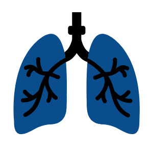 Kareo